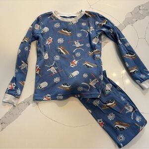 Burt’s Bees Winter PJs-6T